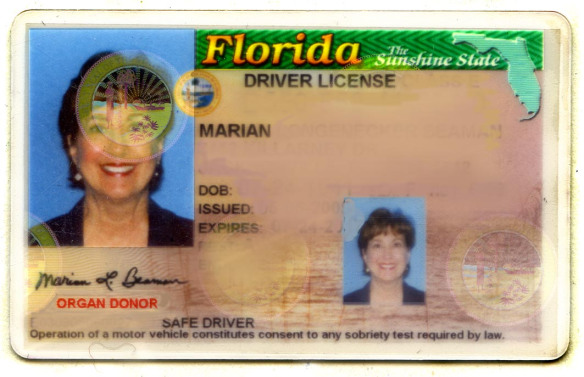Florida Drivers License Template - landgenerous
